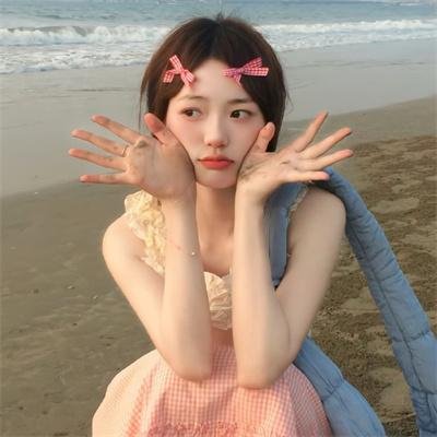暴风雪中的白鸟 海报